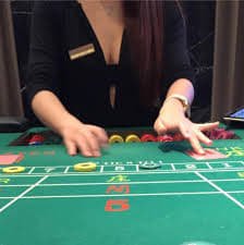 5667bet